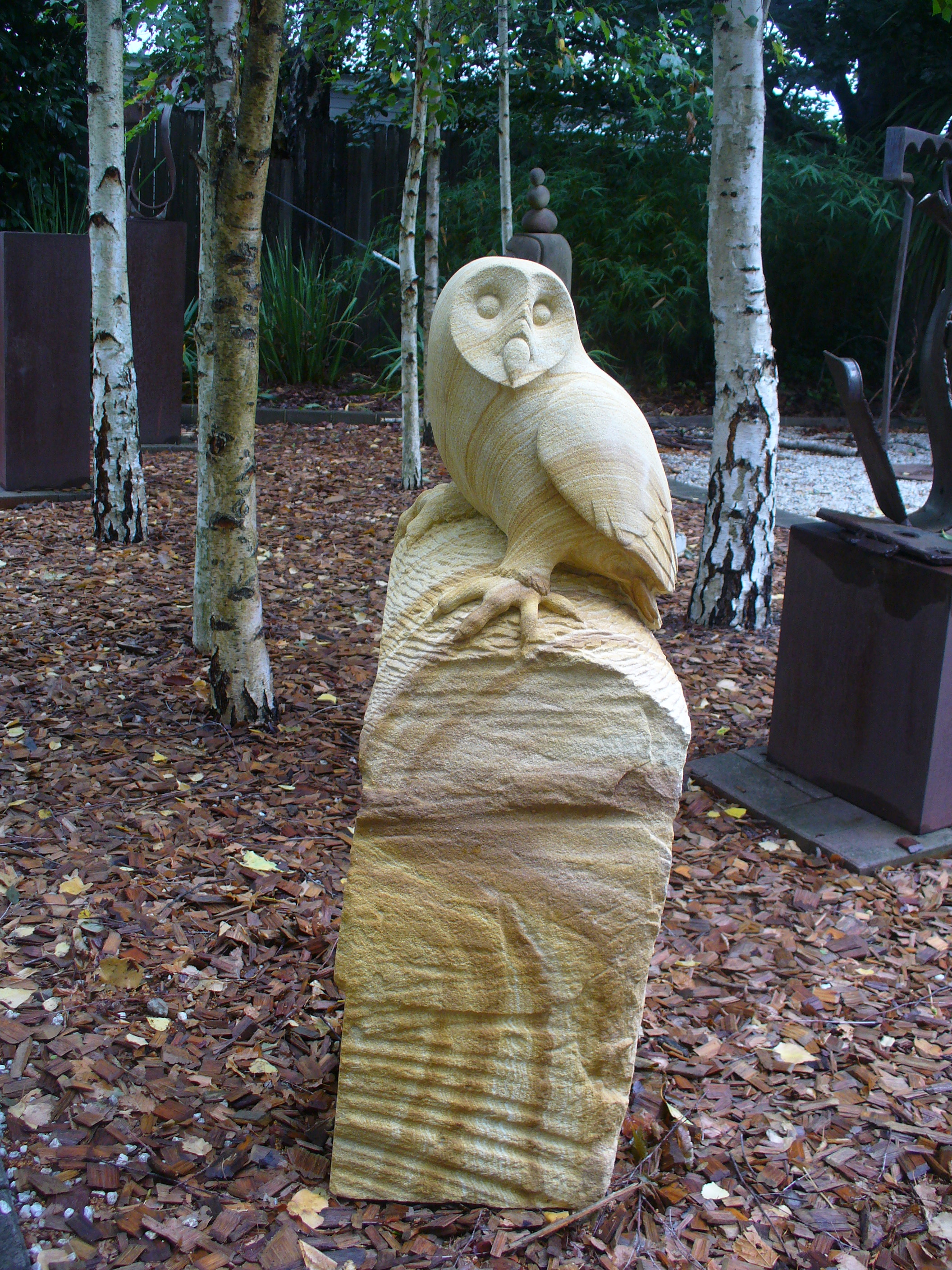 Owl 6